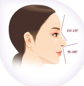 鼻子：夫星之位？