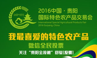 本地人的真心话