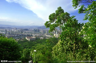 风景篇：人比树还多