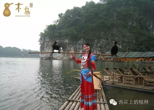 当桂林变成水帘洞：一场湿哒哒的奇幻漂流记