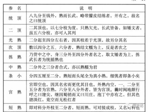 1）年龄估算的荒唐之处