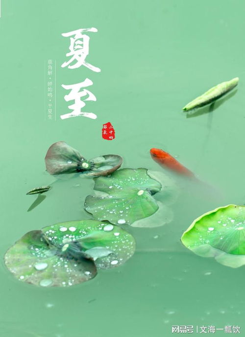 一、关于夏至那点事儿：从甲骨文到现代人