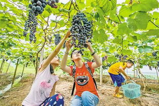 秋风送爽， 但这不仅仅是风的事儿