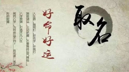 琴字的前世今生