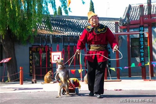 三、  吴桥杂技较大世界的魅力：一场视听盛宴