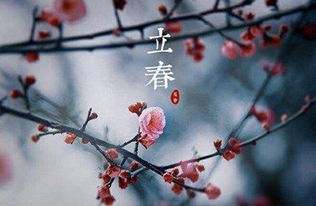 给人的感觉…有点乱吧？