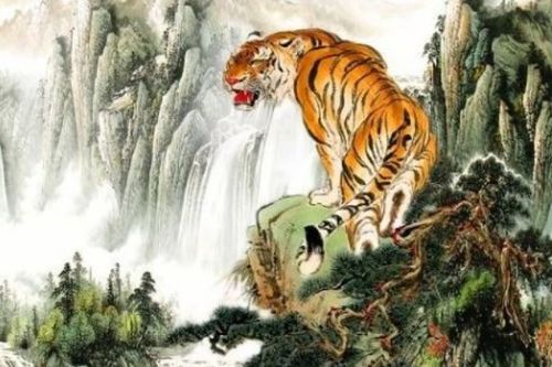 2026年属虎人的桃花运具体表现如何？