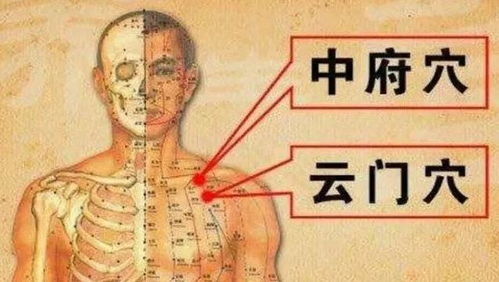 勾陈缠上你