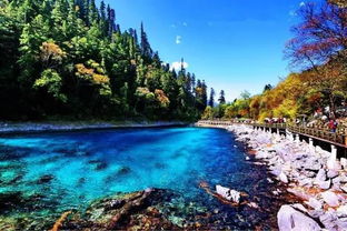 一到周末大家就想去厦门一日游玩找一个亲近大自然的地方,想要去领略一下厦门周边的美景,那就让的旅游爸爸网小强,来带你游玩一下这些著名的厦门到漳州一日游攻略好玩的地方,先说说厦门一日游企业推荐有哪些好玩的地方呢?