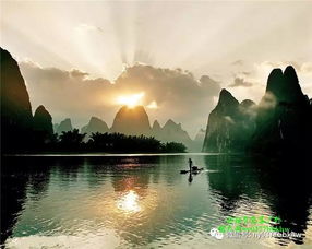 广州的魅力：繁华之都的烟火气