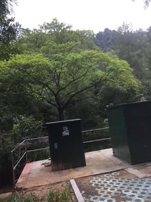 住宿雷区预警！这家民宿绝绝子