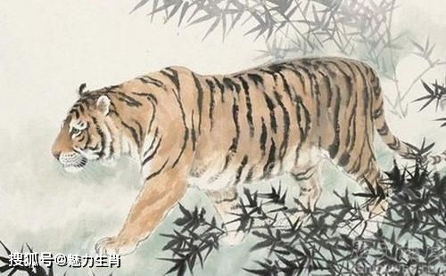 噪音层层叠加