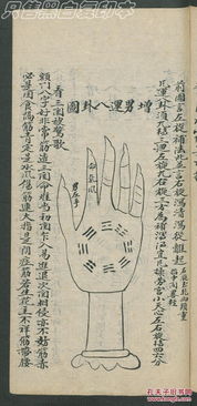 第七集: 猜疑链