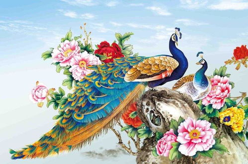 美丽孔雀属于哪个生肖？它是天生丽质的那一个吗？