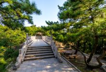 较小鱼山公园的奇特之处：鱼儿们的故事