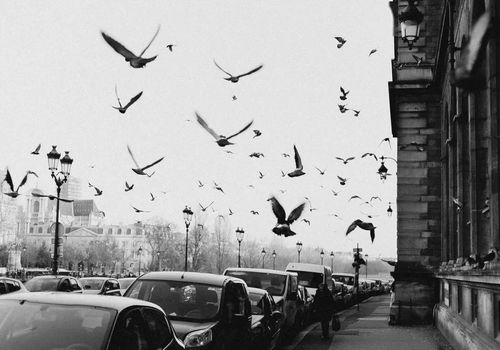 【十二星座大型翻车现场】