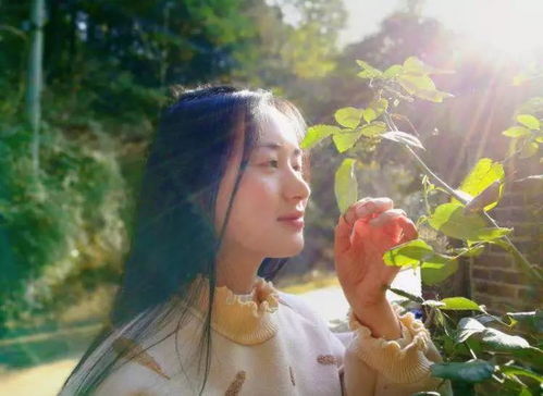 第一章：桐花春来