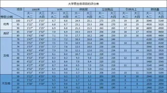 文章目录：