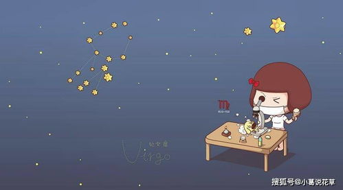 第五名：金牛座 - 30%难追