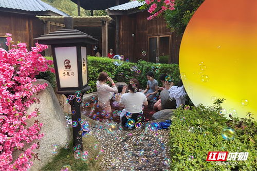 宁乡灰汤桃花荟，泡温泉赏花住酒店，美食之旅爆款打卡！