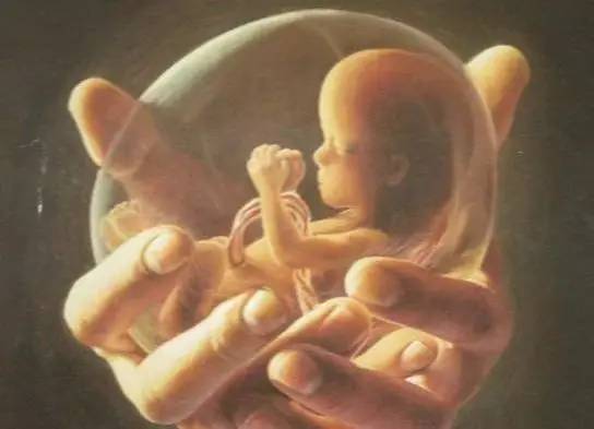 二、怨气值爆表的