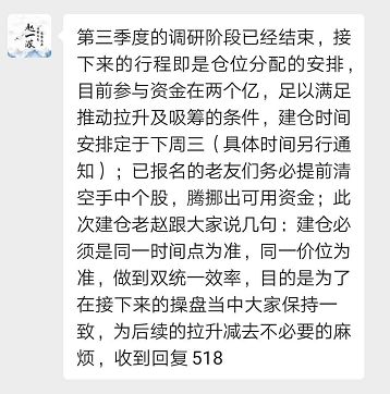 机灵古怪的小猴子