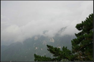 五、 夜幕降临：星空与山谷的邂逅