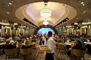 邮轮公司的小秘密