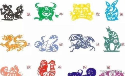 打一生肖是什么生肖？