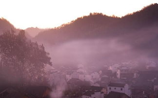七月去婺源， 别被“最美乡村”的滤镜骗了