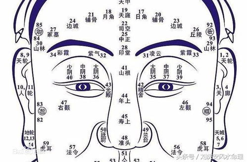 尖下巴：虚荣与自私的化身