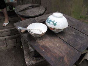 4. 星座冲动：金牛与双子之间的争执