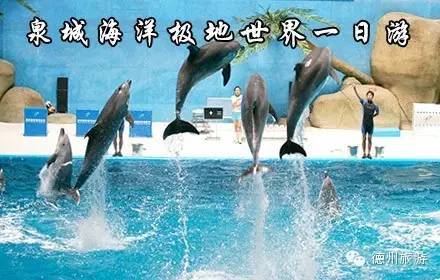 泉城海洋极地世界（海洋+极地+混沌）