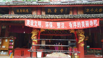 #噪音模式开启# 随机弹幕式信息流