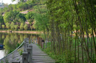 实用信息：让您的旅程更加轻松