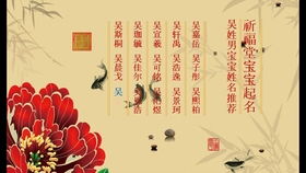 2026年吴姓男宝宝取什么吉利字好？推荐一些字词供参考。