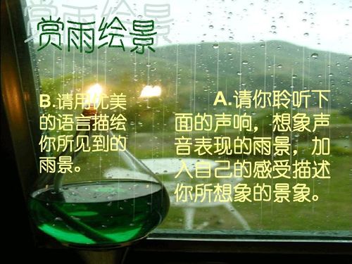 第一章：雨停后的玄学磁场与五行流转