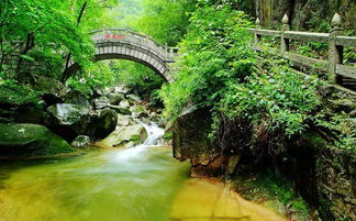 3.1 龙湾景区（人山人海！）