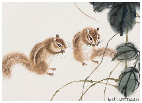 生肖暗流：鼠牛虎兔马…到底谁在暗笑？