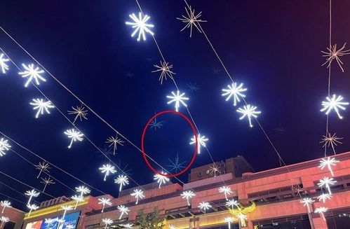 水中倒影？还是…