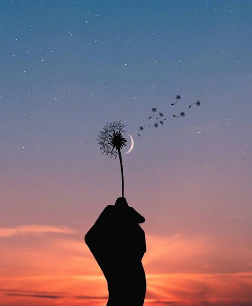 ：墙角里的国学与生肖的纠缠