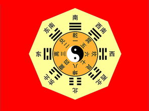 生肖猪的惊天预言