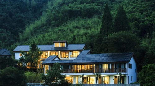莫干山一千零一夜民宿