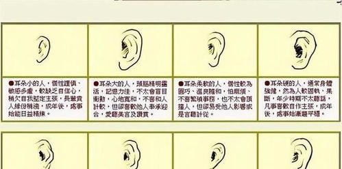 二、耳朵长在脑袋上的玄学