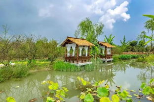 悬崖河畔的温馨小屋，你敢住吗？