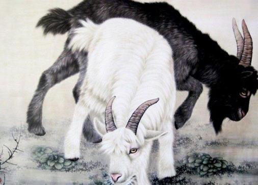 两个属羊的人结合在一起，他们的性格和相处是否和谐匹配呢？