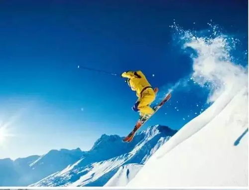 二、 北海道人气组合：Niseko（ニセコ）