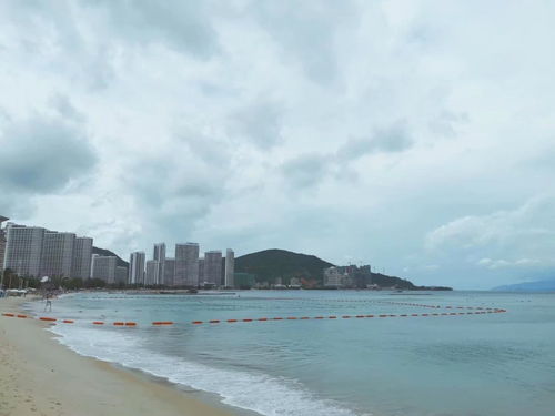 我的建议：