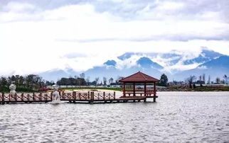 走进景区：随便逛逛也能收获惊喜