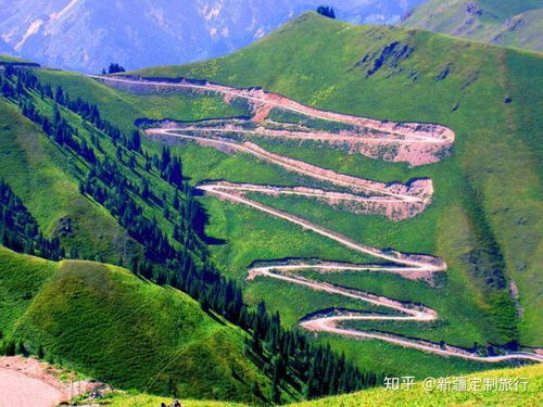 跟团游的坑与甜